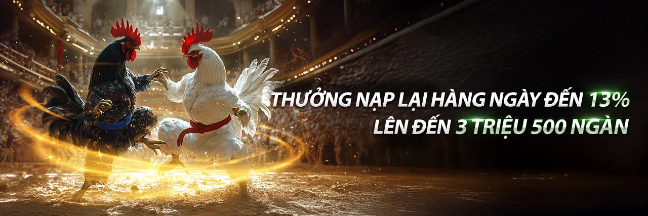 Hình ảnh chính về W888 Code
